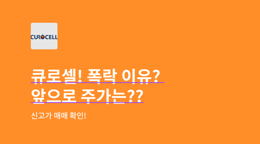 큐로셀 주가

