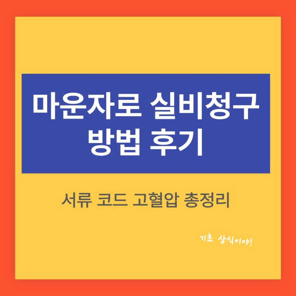 마운자로 실비청구